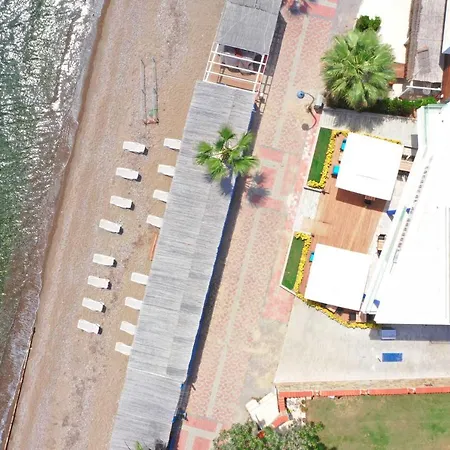 酒店 Acropol Of Bodrum 奥塔肯特